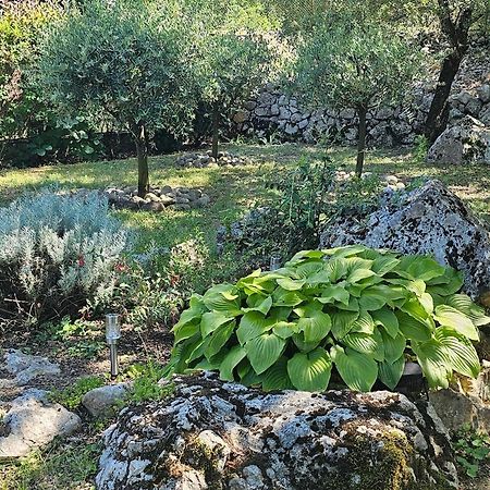 Les Oliviers Gite Grand Confort Au Calme Classe 3 Etoiles Balazuc Dış mekan fotoğraf