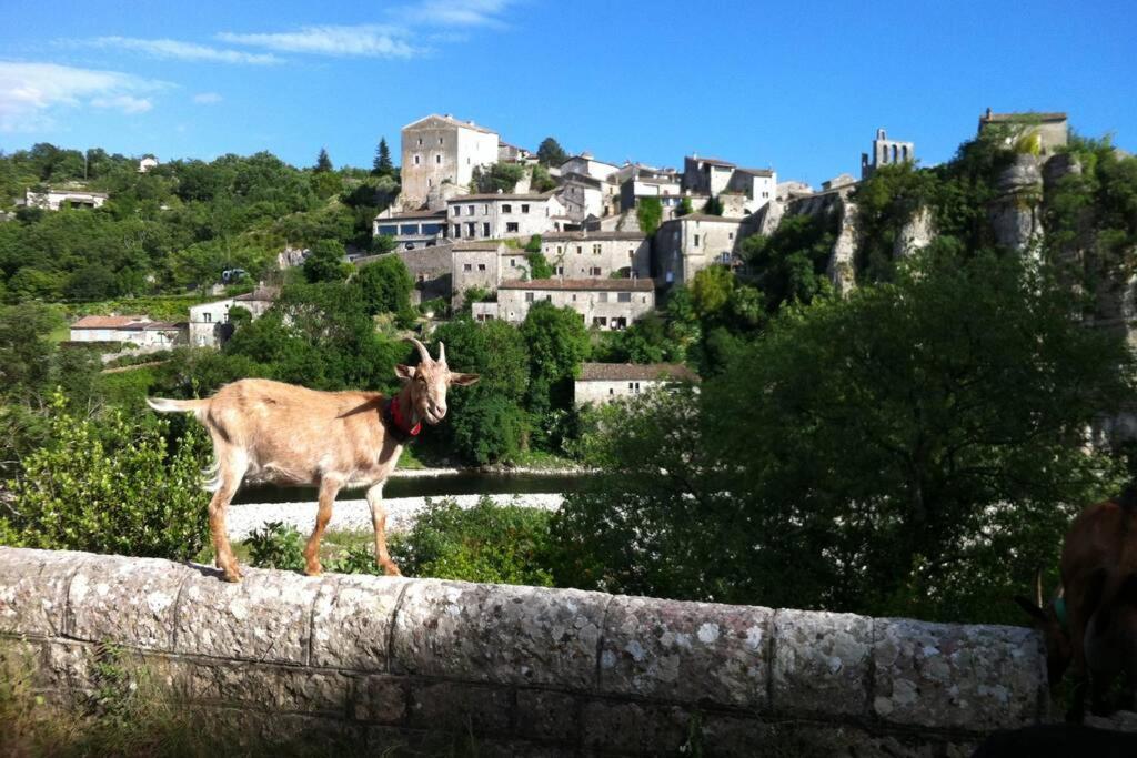 Les Oliviers Gite Grand Confort Au Calme Classe 3 Etoiles Balazuc Dış mekan fotoğraf