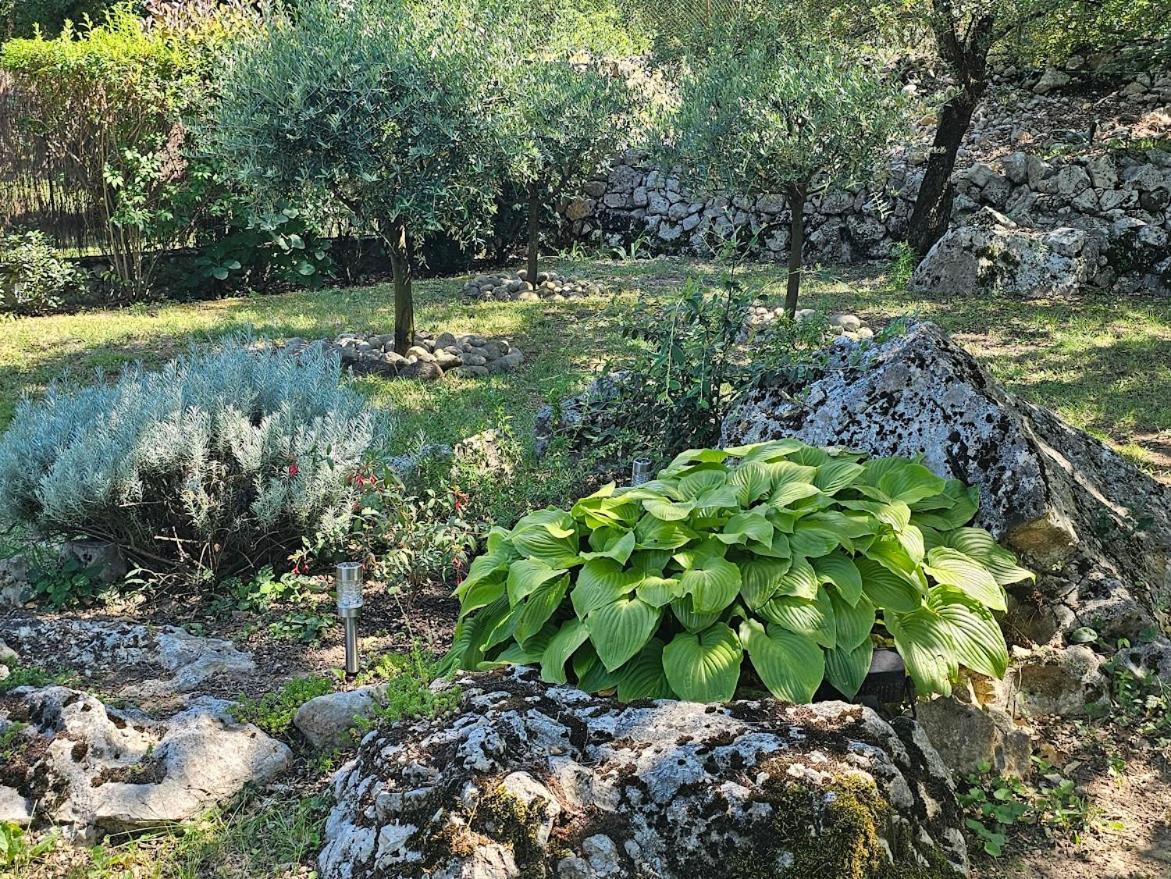 Les Oliviers Gite Grand Confort Au Calme Classe 3 Etoiles Balazuc Dış mekan fotoğraf